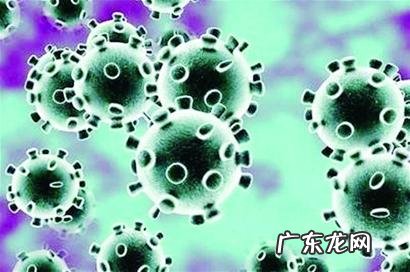 游泳池水热的危害 游泳池热如何预防