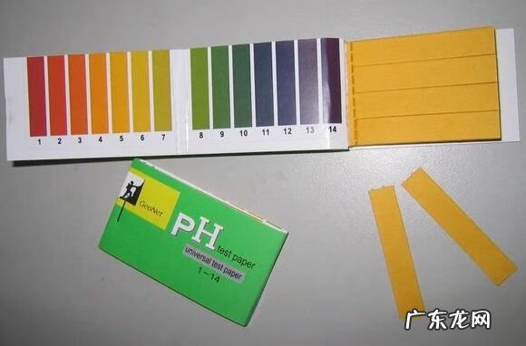 星点龙鱼是风水鱼吗 澳洲星点龙鱼