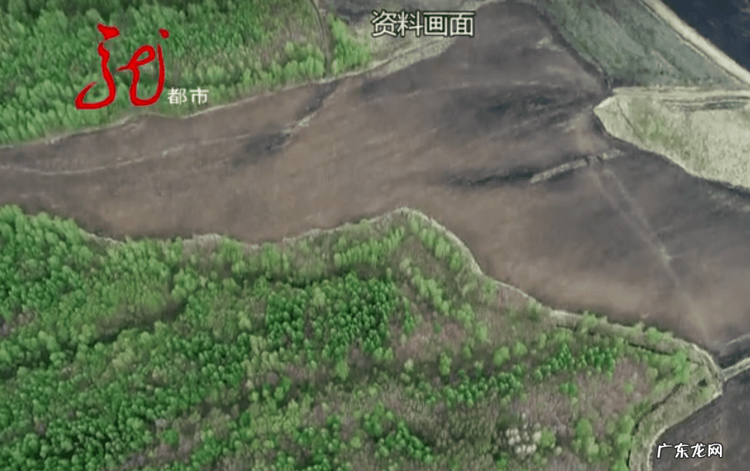 半透明石头图片和价值 不透水的石头