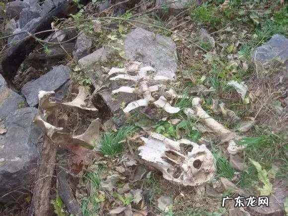 指南针和风水上的方向一样嘛 指南针的风水作用