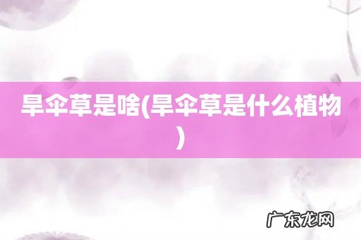 旱伞草是什么植物 旱伞草是啥