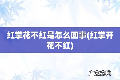 红掌开花不红 红掌花不红是怎么回事