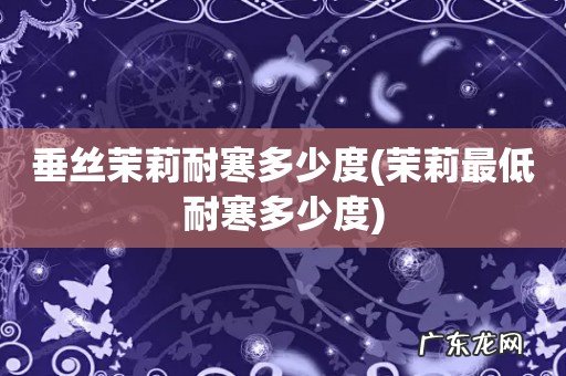 茉莉最低耐寒多少度 垂丝茉莉耐寒多少度