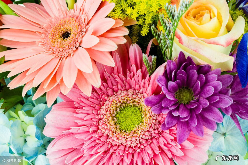 日薄西山 风水里面岁薄日是什么