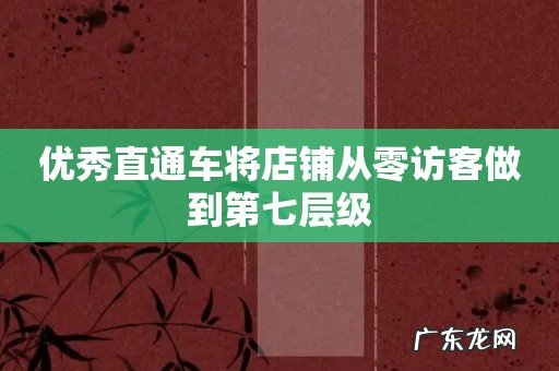 优秀直通车将店铺从零访客做到第七层级
