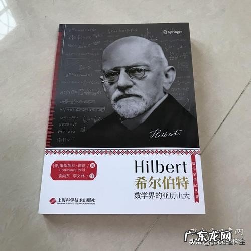 戴维希尔伯特的数学地位和贡献 戴维希尔伯特的简介