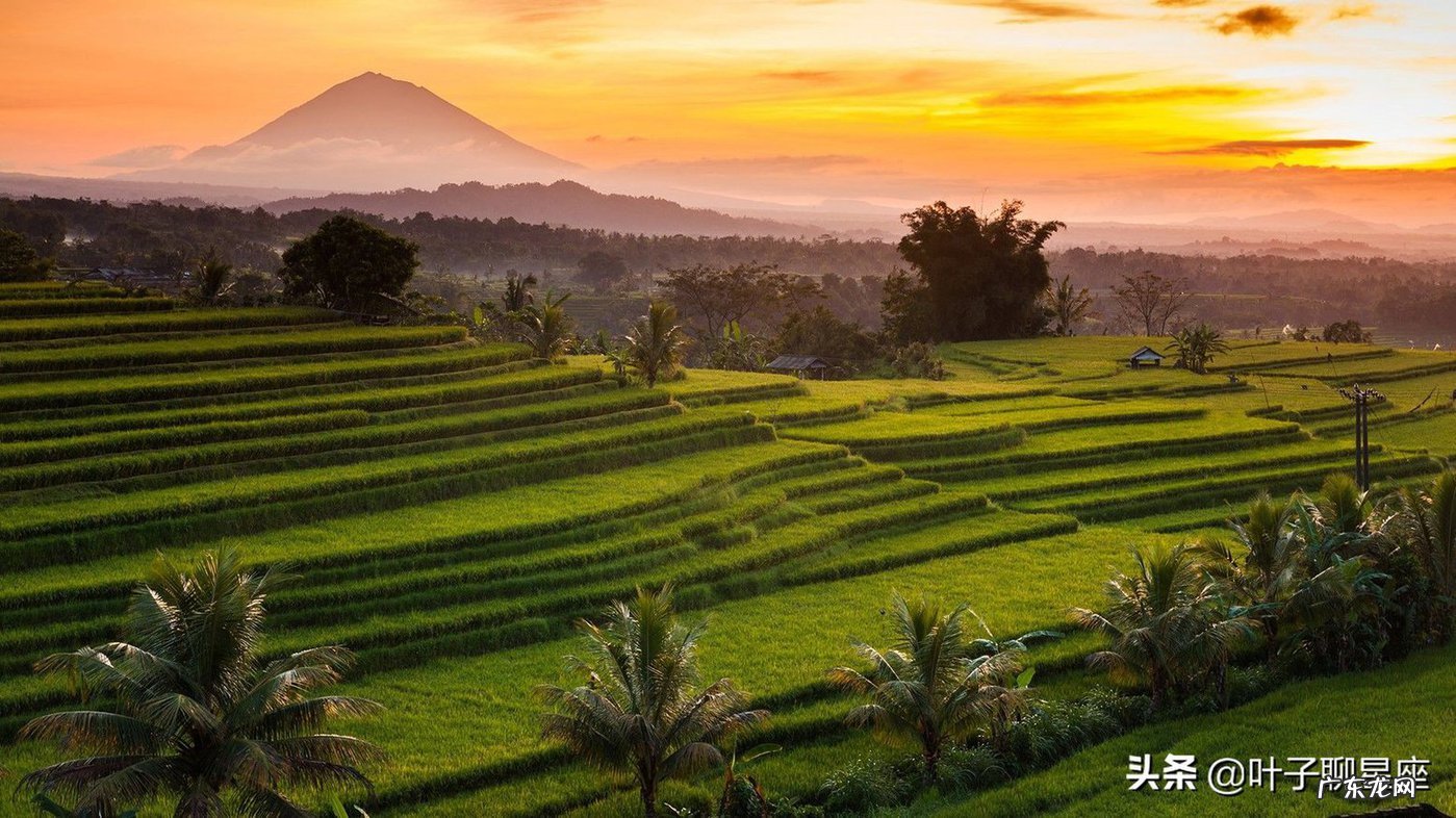 天蝎为什么被双鱼座迷得死死的 双鱼座和天蝎座配吗