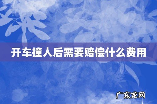 开车撞人后需要赔偿什么费用