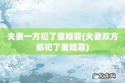 夫妻双方都犯了重婚罪 夫妻一方犯了重婚罪