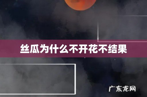 丝瓜为什么不开花不结果