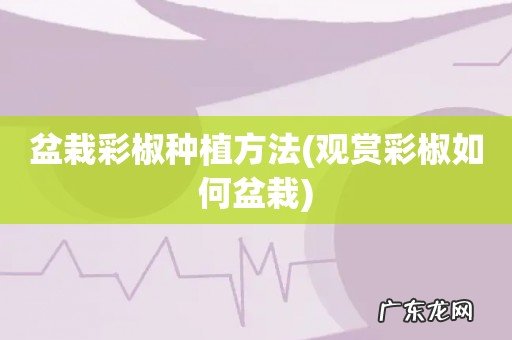 观赏彩椒如何盆栽 盆栽彩椒种植方法