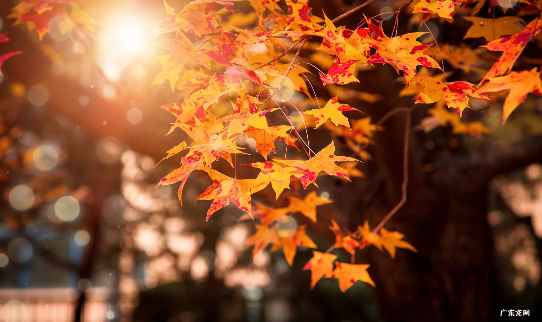 男女朋友分手时如何体面告别 分手了怎么跟对方告别