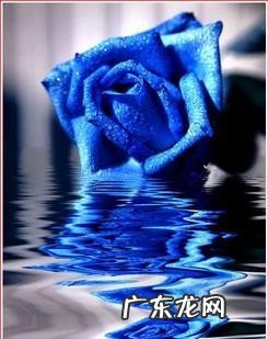 蓝颜知己是一种什么样的关系 什么是蓝颜知己的真正含义