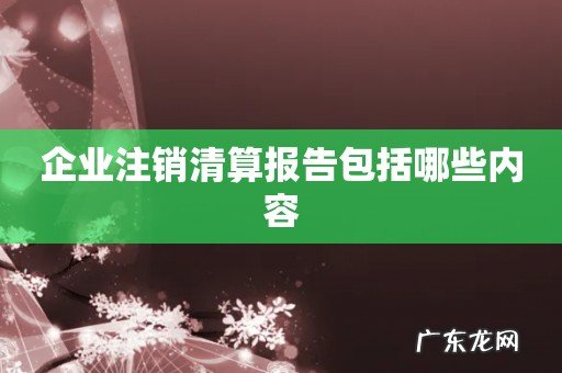 企业注销清算报告包括哪些内容