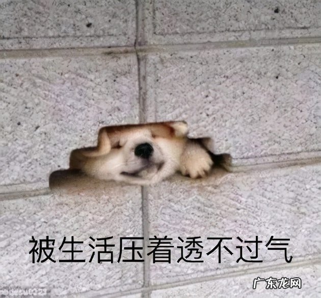 怎么理解一个世故的人有何表现 世故的人指什么样的人