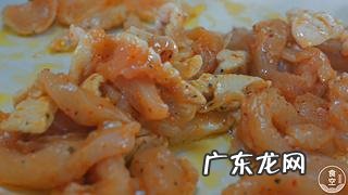 墨西哥鸡肉卷的做法视频 墨西哥鸡肉卷的做法和配方