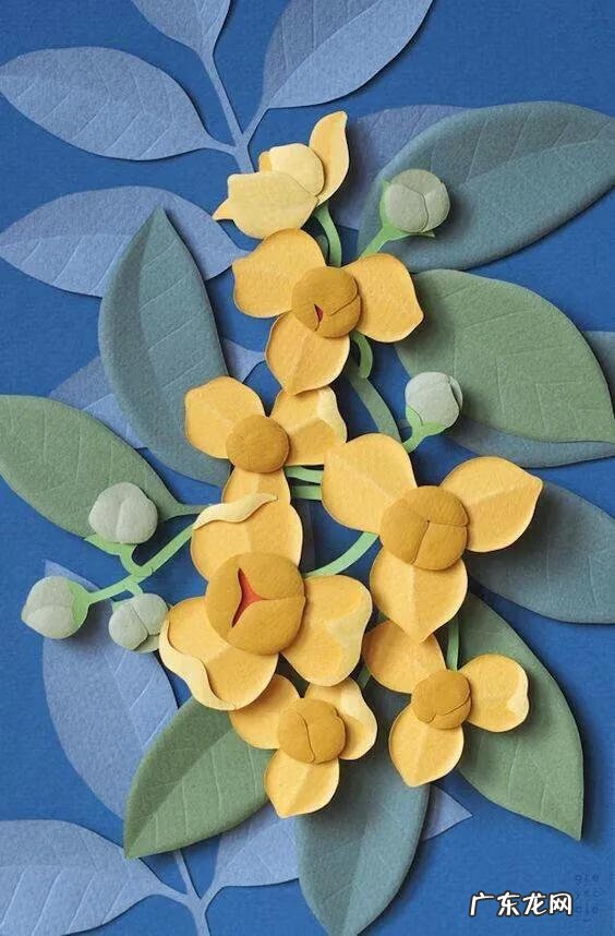 母亲节的贺卡 母亲节贺卡祝福语