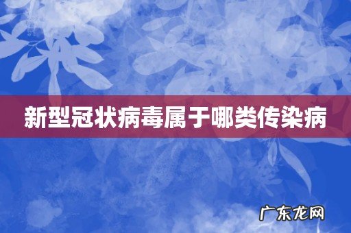 新型冠状病毒属于哪类传染病