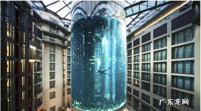 鱼放在床头边好吗 有鱼的水床