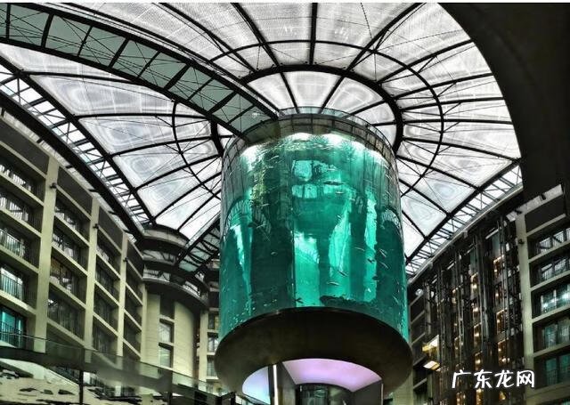 鱼放在床头边好吗 有鱼的水床