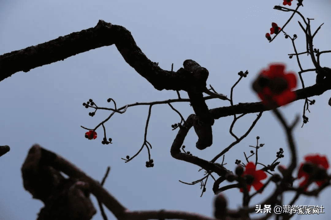 拜师学风水大概多少钱 潮州拜师学风水