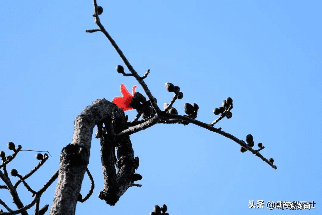 拜师学风水大概多少钱 潮州拜师学风水
