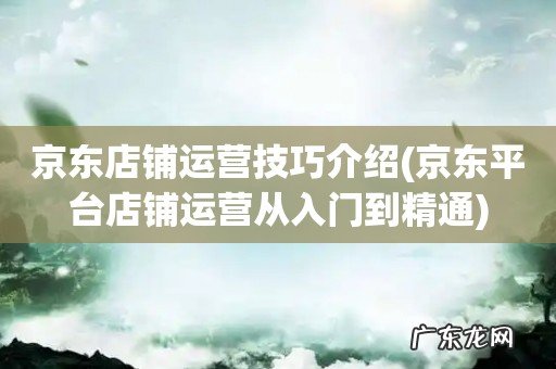 京东平台店铺运营从入门到精通 京东店铺运营技巧介绍