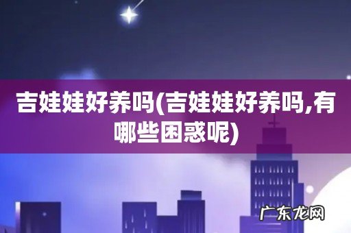 吉娃娃好养吗,有哪些困惑呢 吉娃娃好养吗