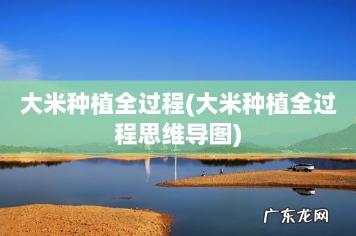 大米种植全过程思维导图 大米种植全过程