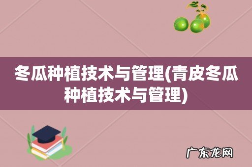 青皮冬瓜种植技术与管理 冬瓜种植技术与管理