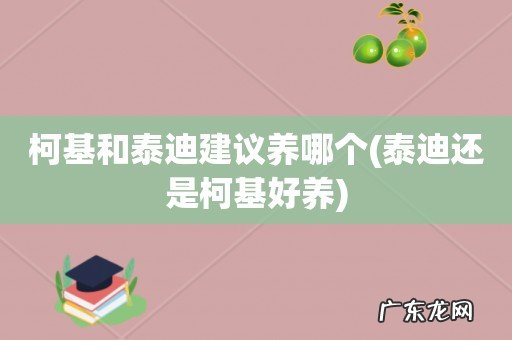 泰迪还是柯基好养 柯基和泰迪建议养哪个