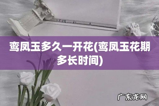 鸾凤玉花期多长时间 鸾凤玉多久一开花