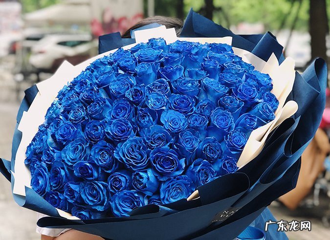 蓝色妖姬花语是代表什么?蓝色妖姬适合送什么人?