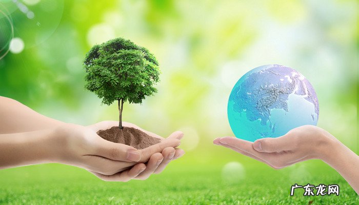 保护环境和节约资源的宣传标语有哪些？