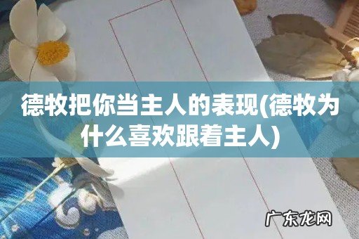 德牧为什么喜欢跟着主人 德牧把你当主人的表现