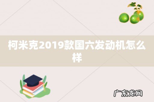 柯米克2019款国六发动机怎么样