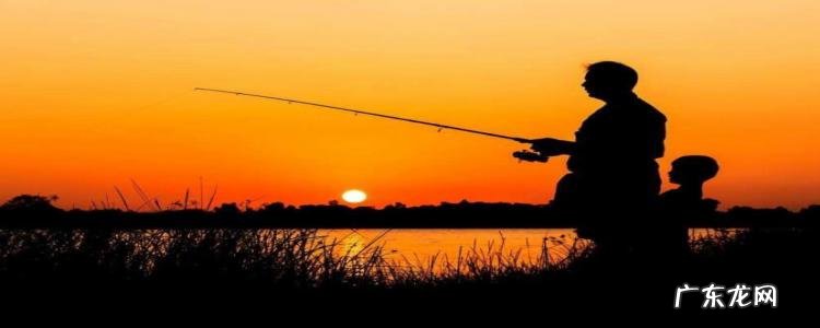 钓鲮鱼有什么技巧