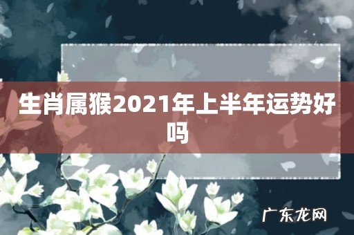 生肖属猴2021年上半年运势好吗