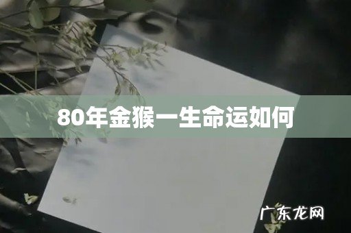 80年金猴一生命运如何