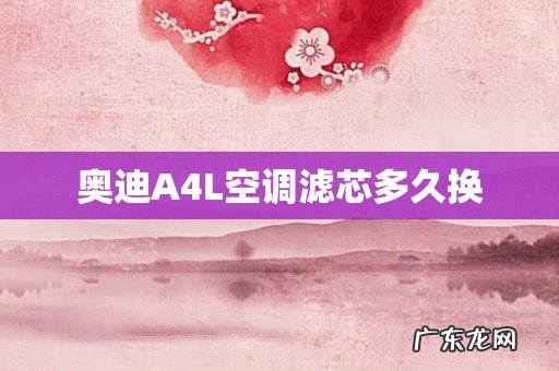 奥迪A4L空调滤芯多久换