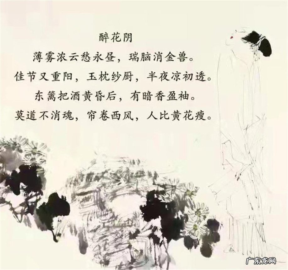 李清照从文化名媛到颠沛流离的一生 李清照什么朝代人物