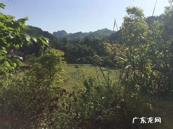 金鸡风水宝地出什么人 状元家山风水宝地