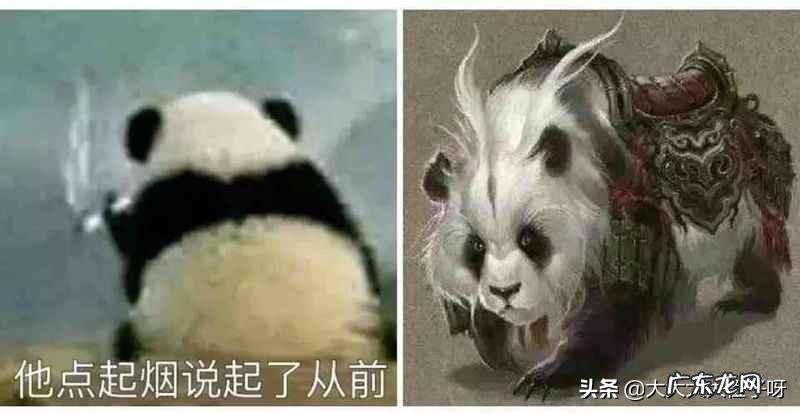 远古大熊猫真的是战神蚩尤的坐骑吗 大熊猫的传说故事