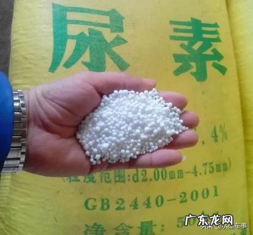 车用尿素起什么作用 车用尿素是什么里面有什么成分