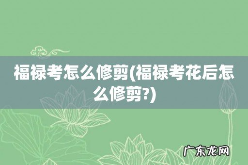 福禄考花后怎么修剪? 福禄考怎么修剪