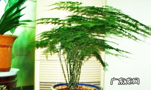 地球磁场变化周期 风水物摆放后多久后会有磁场