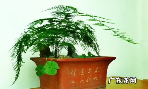 地球磁场变化周期 风水物摆放后多久后会有磁场