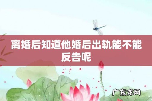 离婚后知道他婚后出轨能不能反告呢