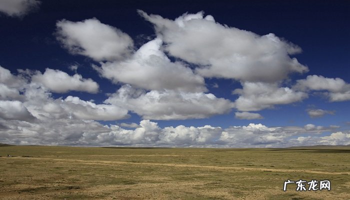 回族人的风俗习惯有哪些？