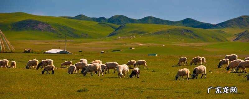 回族人的风俗习惯有哪些？